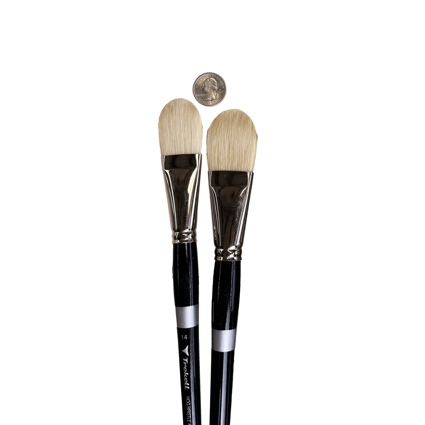 two paintbrushes with a coin next to them