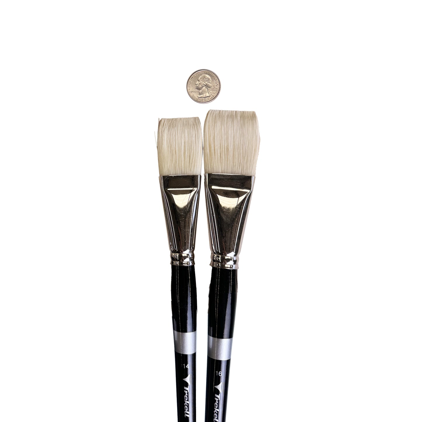 two paintbrushes with a coin next to them