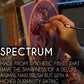 Trekell Spectrum Long Handle Top Sellers Brush Set