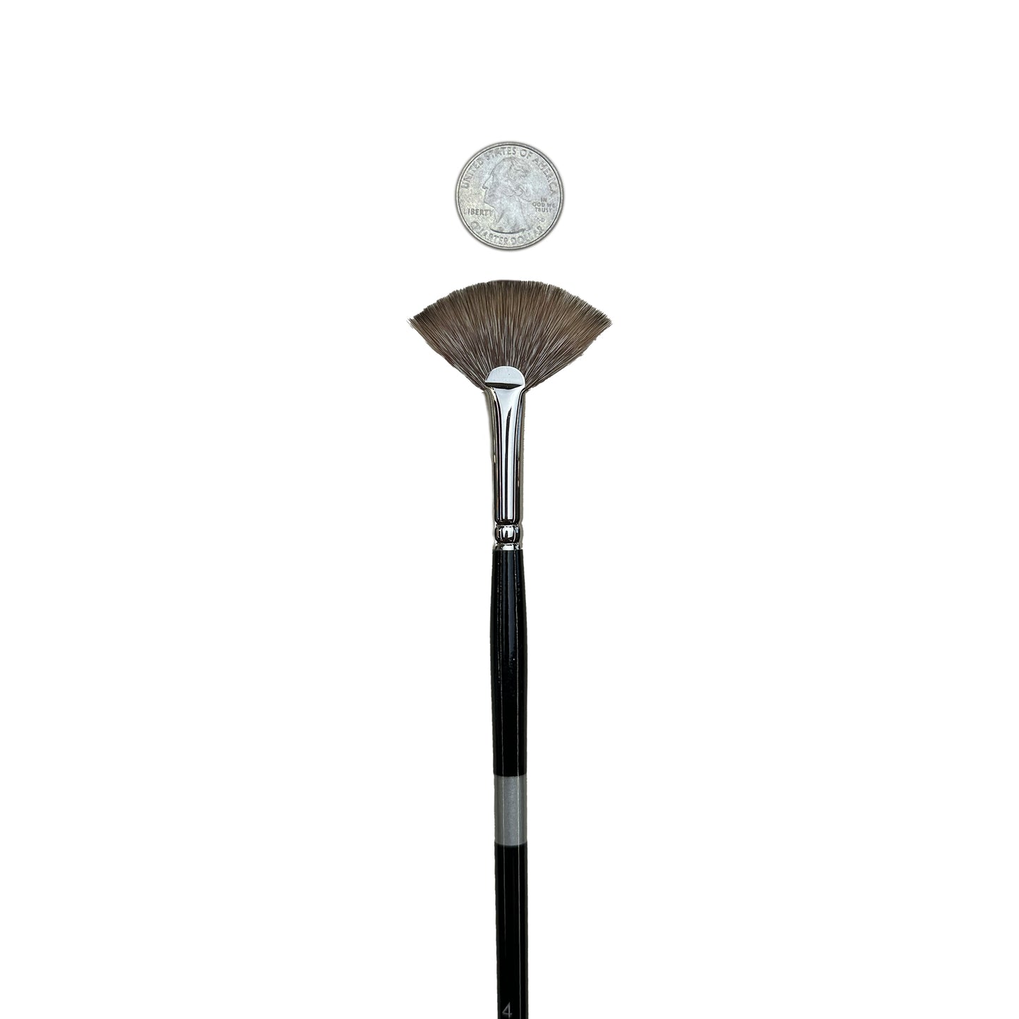 a fan paintbrush with a coin next to it for size