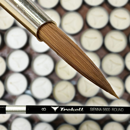 Trekell #8 Round Sienna Long Handle Brush - Synthetic Sable for Oil, Acrylic & Watercolor