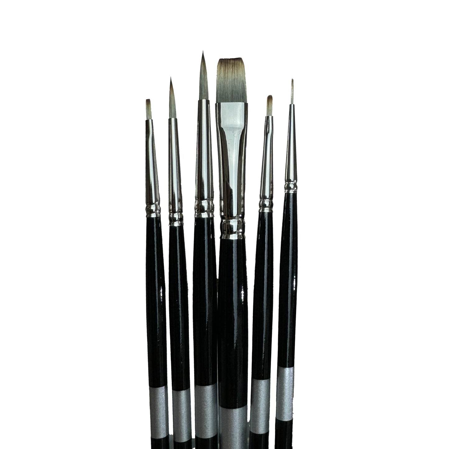 Trekell Spectrum Bundle - Versatile Synthetic Brushes, Long Handle